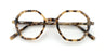 tortoiseshell